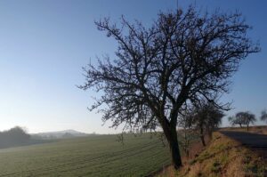 Solanka. Záznamy o ní jsou datovány z první poloviny 19. století (foto ČSOP)