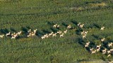 Klenoty přírody v ohrožení (https://www.naturealert.eu/cs)