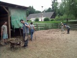 Dobrovolníci kydají v koňské ohradě (foto Ondřej Grover, Nová Ves nad Popelkou 2016)