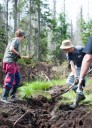 Prázdninová dobrovolnická pomoc s Hnutím Brontosaurus (obnova mokřadů na Šumavě)