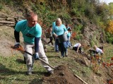 72 hodin 2017 - výsadba stromů a keřů v Chuchelském háji (foto Jiří Majer, ČRDM)